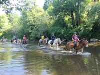 les balades à cheval