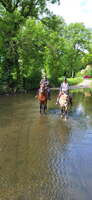 Equitation de plein air